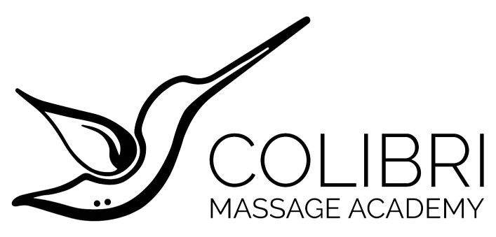 Logo Colibri massage academy